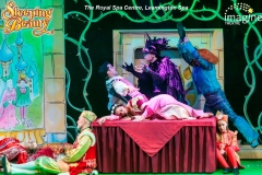 Sleeping-Beauty-2-5D-7514
